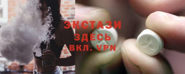 индика Беломорск