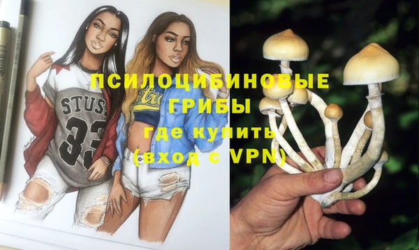 индика Беломорск