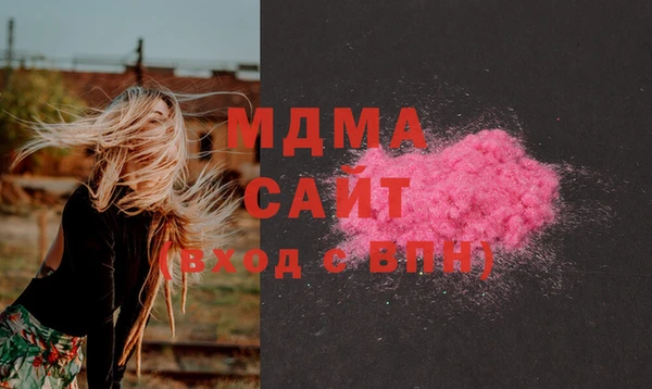 индика Беломорск