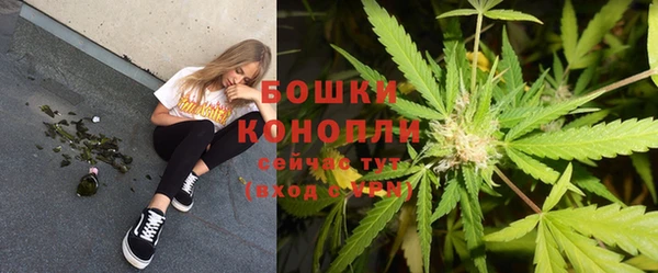 гидропоника Белоозёрский