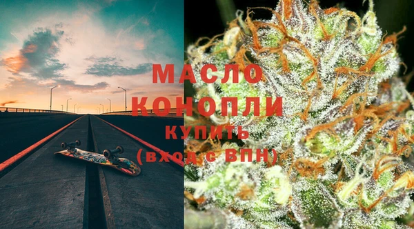 индика Беломорск