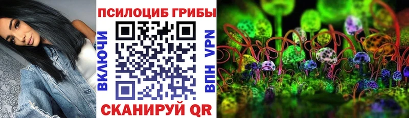 OMG ссылки  Трёхгорный  Галлюциногенные грибы Psilocybe  дарнет шоп 